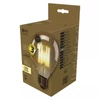 Kép 2/3 - EMOS LED izzó Vintage G95 E27 4W 2200K